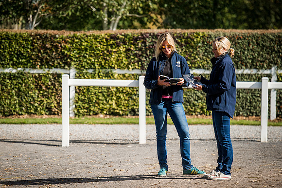 Goffs Orby 2015 -268
