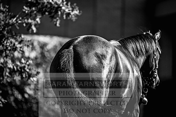Goffs Land Rover Sale 2022-138