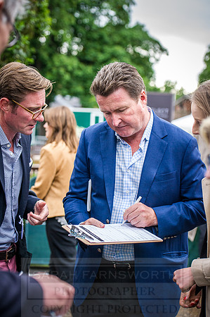 Goffs London Sale 2016-452