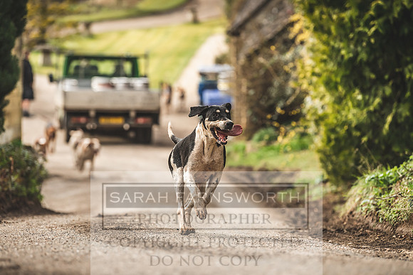 Thurlow at Heythrop 130319-559