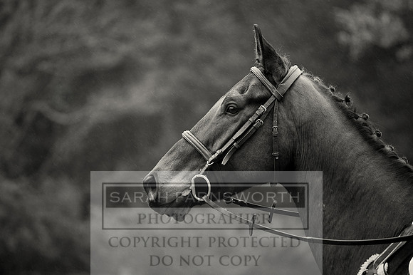 NCH 011214 -68 bw