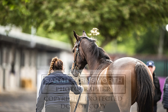 Goffs Land Rover Sale 2022-512