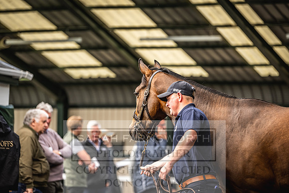 Goffs Land Rover Sale 2022-190