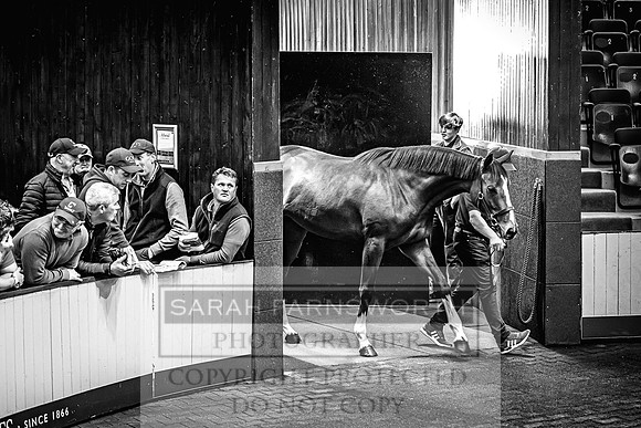 Goffs Land Rover Sale 2022-195