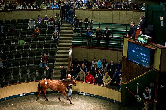 Goffs Orby 2015 -633