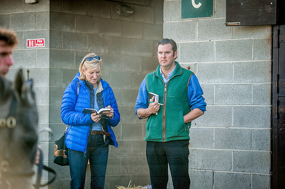 Goffs Orby 2015 -218