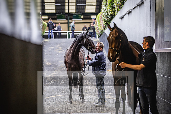 Goffs Land Rover Sale 2022-446