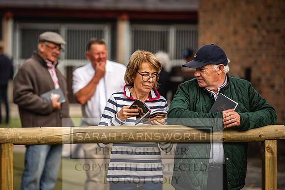 Goffs Yorton Sale 2022-219