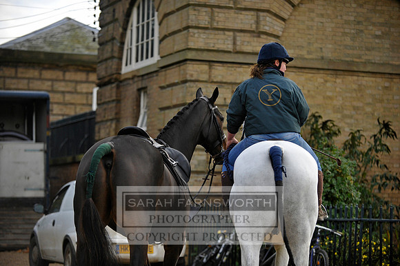 Brocklesby 021113 CF3 060