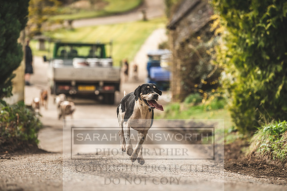 Thurlow at Heythrop 130319-558