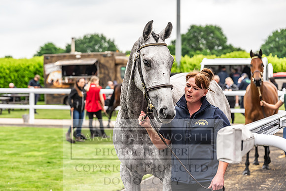 Goffs UK Spring Sale 2024-122