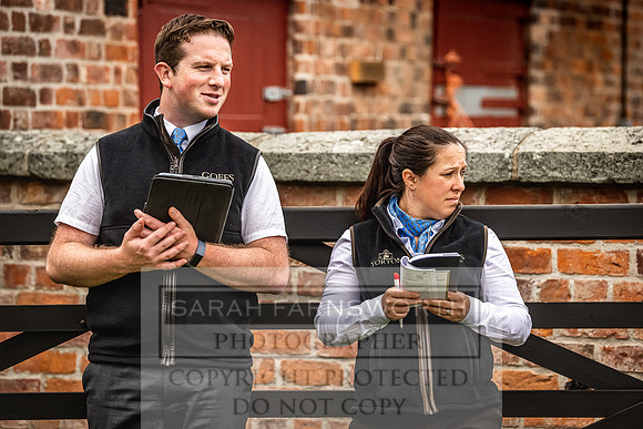 Goffs Yorton Sale 2022-127