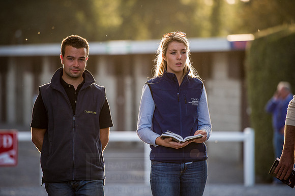 Goffs Orby 2015 -436