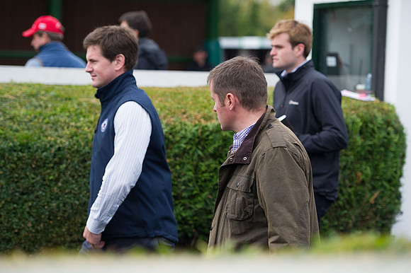 Goffs Orby14 CF5 051