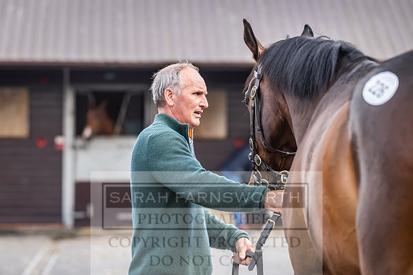 Goffs UK Spring Sale 2024-188