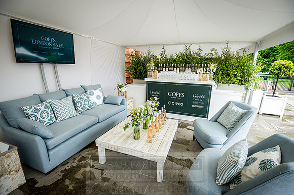 Goffs London Sale 2016-4