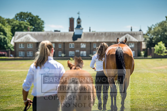 Goffs London Sale 2018-16