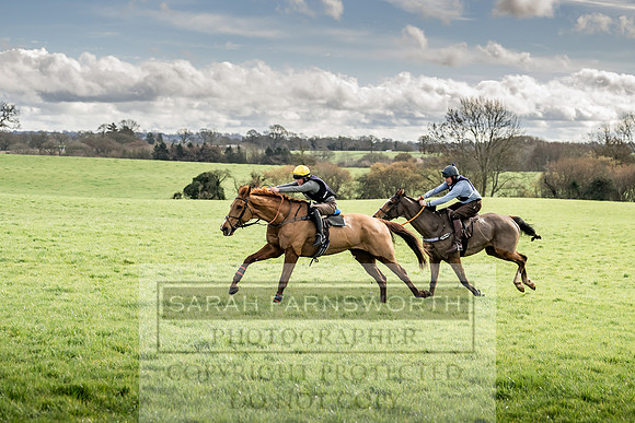 Wynnstay Hunt Ride 2019-70
