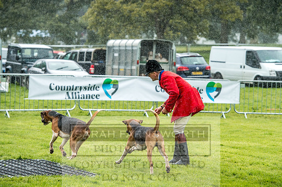 Lowther Hound Show 2017-23