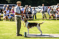 Rydal Hound Show 2022-16