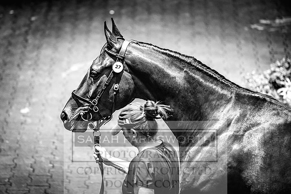 Goffs Land Rover Sale 2022-208