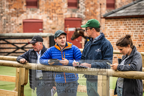 Goffs Yorton Sale 2022-13