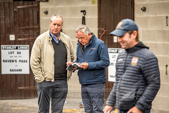 Goffs Orby 2018 Day 1-81