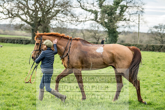 Wynnstay Hunt Ride 2019-118