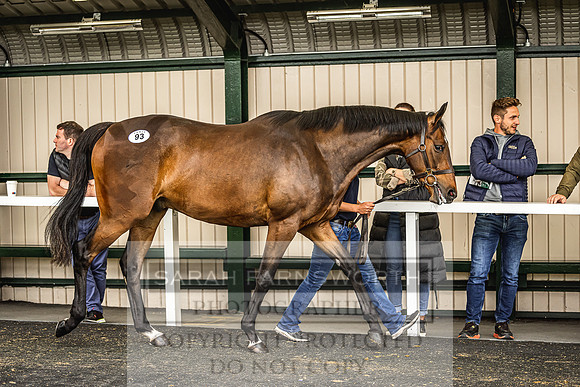 Goffs Land Rover Sale 2022-272
