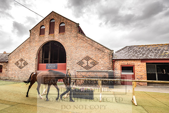 Goffs Yorton Sale 2022-160
