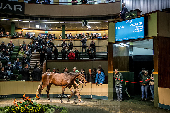 Goffs Orby 2018 Day 2-178