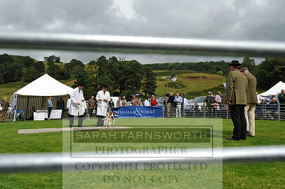 Rydal 2014 CF1 353