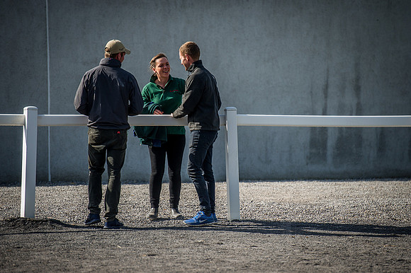 Goffs Orby 2015 -294