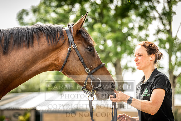 Goffs Land Rover Sale 2022-376