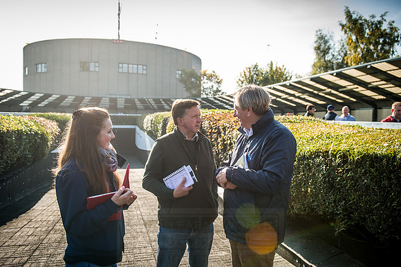 Goffs Orby 2015 -515