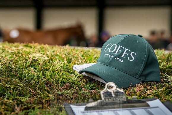 Goffs Orby 2018 Day 2-140