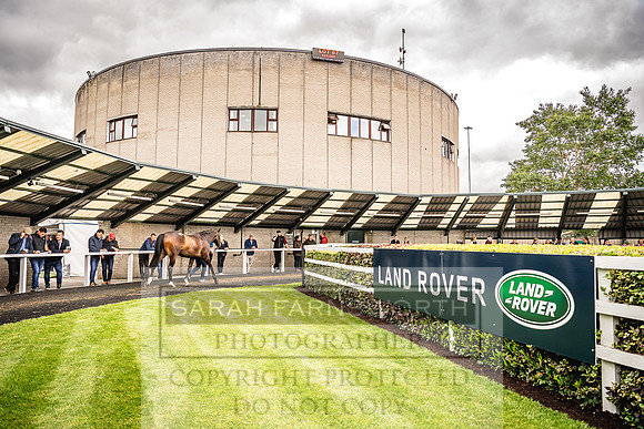 Goffs Land Rover Sale 2022-276