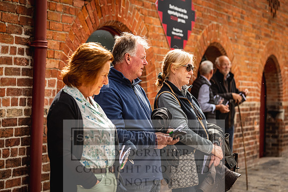 Goffs Yorton Sale 2022-168