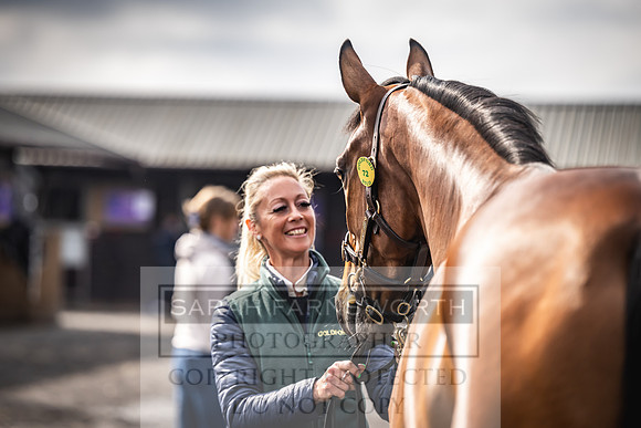 Goffs UK Spring Sale 2024-24