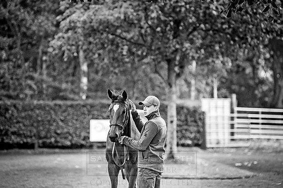 Goffs Orby 2018 Day 2-2