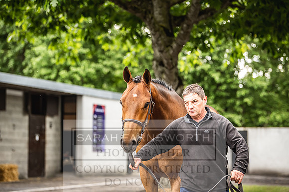 Goffs Land Rover Sale 2022-333