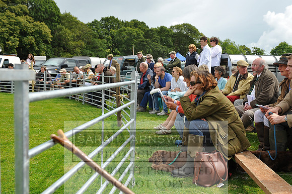 Rydal 2014 CF1 346