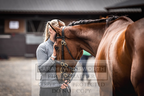 Goffs UK Spring Sale 2024-150