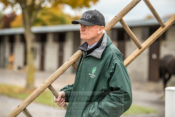 Goffs Orby 2018 Day 2-232