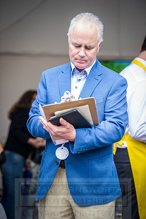 Goffs London Sale 2016-385