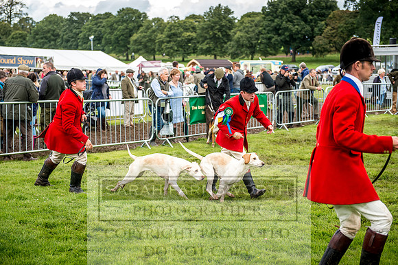 Lowther Hound Show 2017-85