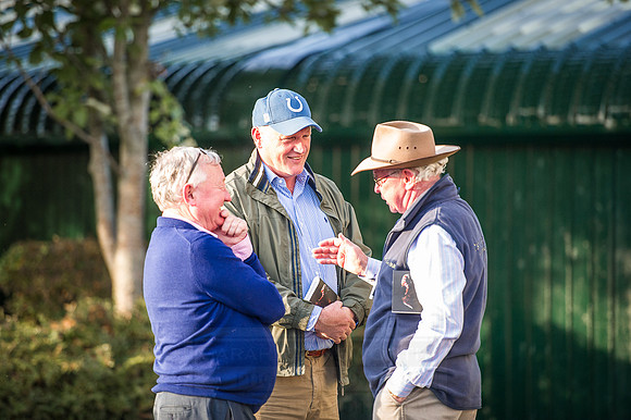 Goffs Orby 2015 -431