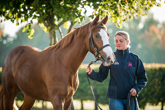 Goffs Orby 2015 -183