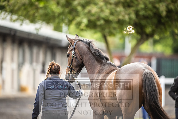 Goffs Land Rover Sale 2022-513