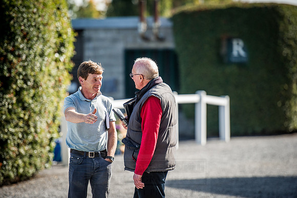 Goffs Orby 2015 -336